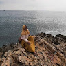 Hanna Syahidah