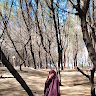 lisma wardani