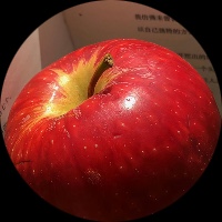 We The Apples