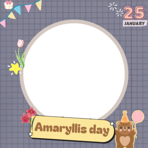 Amaryllis Birthday