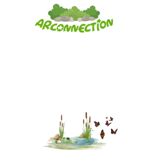 ARCONNECTION