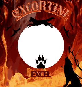IDC MEMBER EXCORTINE