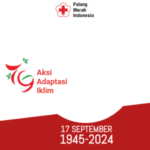 PMI 79 17 September 2024