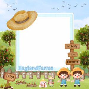 HAYLAND GRAND OPENING!