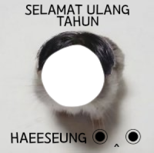 ultah haeeseung