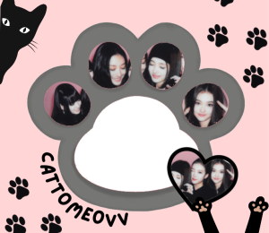 CattoMEOVV!