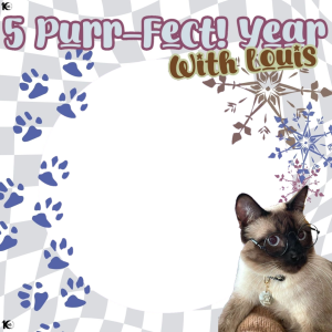 5 Purr-fect Year!