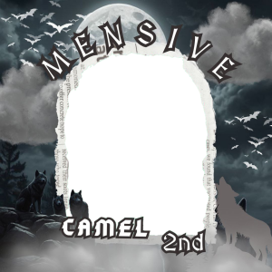 Camel 2nd Mensiversary