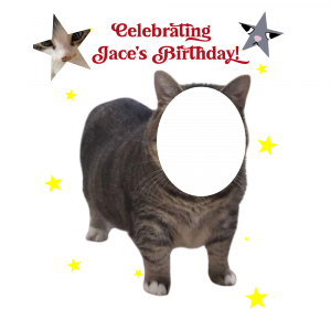 Jace day! Dengan Akmal OIIAI