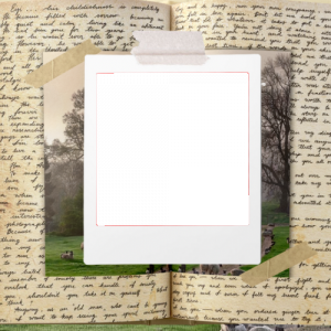 SERENESCAPES: FAREWELL EVENT