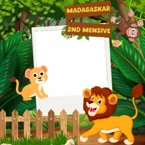 madagaskar 2nd mensive