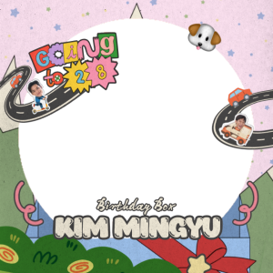 Mingyu Birthday