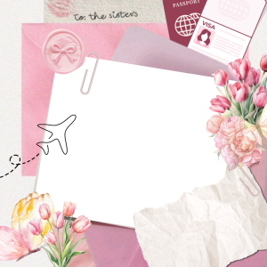 Traveller’s Verification