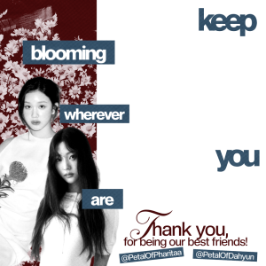 ────୨ৎ──── 𝒇𝒓𝒆𝒆𝒃𝒊𝒆𝒔 𝒑𝒉𝒂𝒓𝒊𝒕𝒂 & 𝒔𝒕𝒆𝒍𝒍𝒂