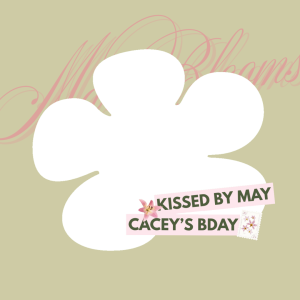 Cacey's Day