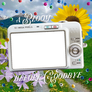 A Bloom before Goodbye