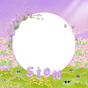 🌷Oh Sion 23rd Birthday Bingkai🌷