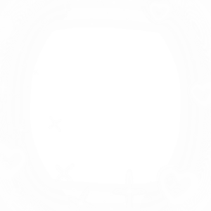 🎀 Coquette Day 🎀