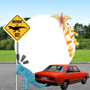 Birthday of Rex 🦖