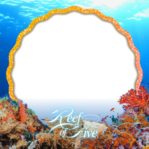 The A+ Show for GUEST STARS