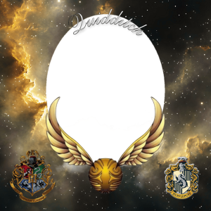 QUIDDITCH (HUFFLEPUFF)