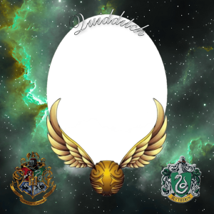 QUIDDITCH (SLYTHERIN)