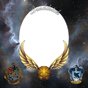 QUIDDITCH (RAVENCLAW)