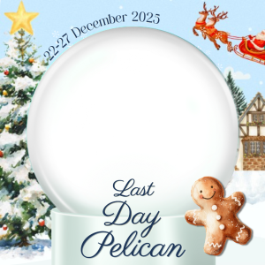 Last Day Pelican 22.12.25