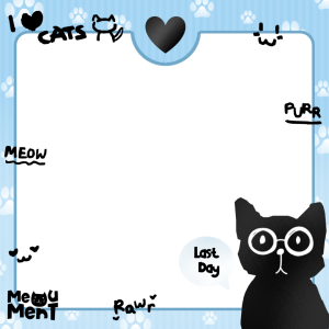 our last meoument 🐾