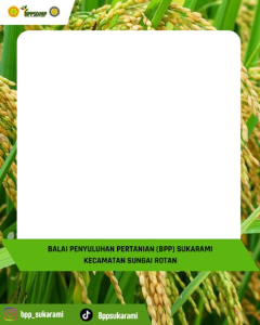 BPP Sukarami