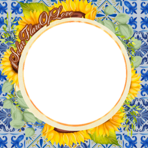 Solar Flare of Love (Guest)