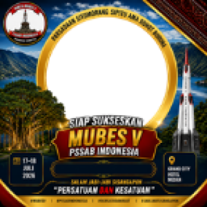 Mubes V PSSAB