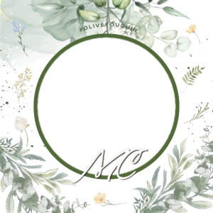 Variant 3