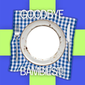 bamboohoods farewell party