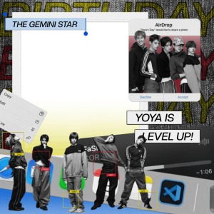 the gemini star