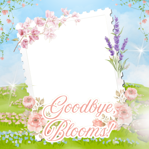 200percentbloom last day