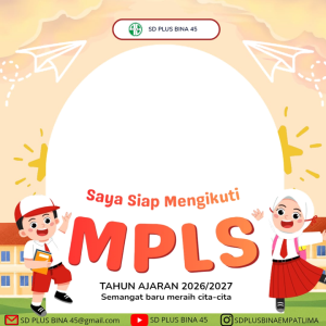 FRAME MPLS SD PLUS BIAN 45