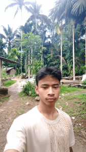 https://bingkain.com/pbakptik2026