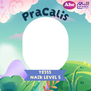 Pracalis 5