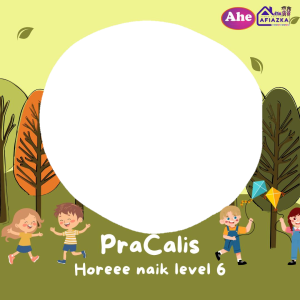 Pracalis 6